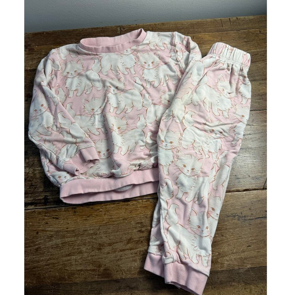 Velveteen Cat 2pc sweatsuit size 4/5